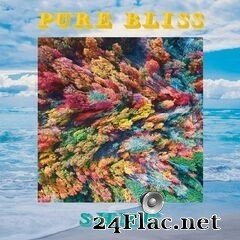 Shmu - Pure Bliss (2020) FLAC