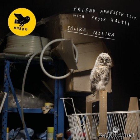 Erlend Apneseth Trio - Salika, Molika (2019) Hi-Res