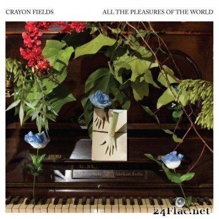 Crayon Fields - All the Pleasures Of the World (Deluxe Edition) (2020) FLAC