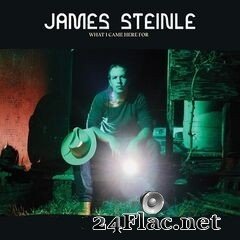James Steinle - What I Came Here For (2020) FLAC