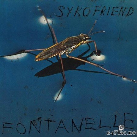 Syko Friend - Fontanelle (2020) [FLAC (tracks)]