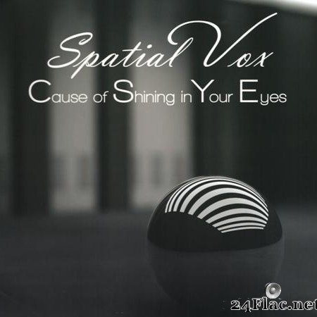 Spatial Vox - Cause Of Shining In Your Eyes (The 1'st Album) (2019) [Vinyl] [WV (image + .cue)]