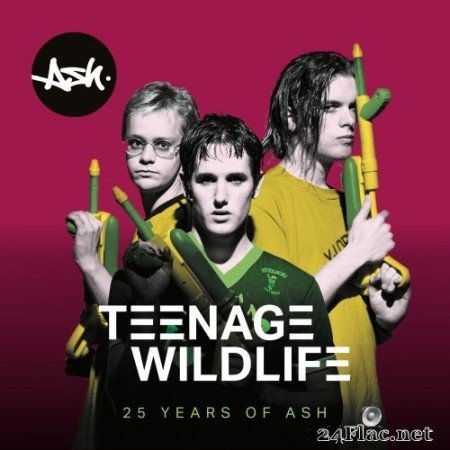 Ash - Teenage Wildlife: 25 Years of Ash (2020) FLAC