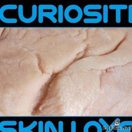 Curiositi - Skin Love (2019) [FLAC (tracks)]