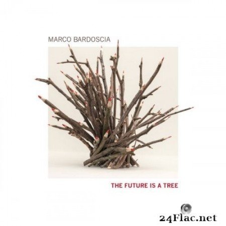 Marco Bardoscia, William Greco, Dario Congedo - The Future Is a Tree (2020) Hi-Res