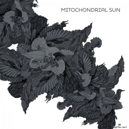 Mitochondrial Sun - Mitochondrial Sun (2020) FLAC
