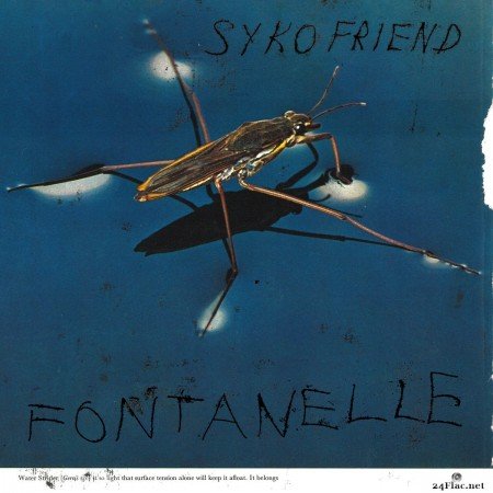 Syko Friend - Fontanelle (2020) FLAC