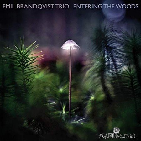 Emil Brandqvist Trio - Entering the Woods (2020) Hi-Res