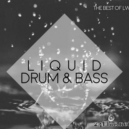 VA - The Best of LW Liquid Drum & Bass IV (2020) [FLAC (tracks)]