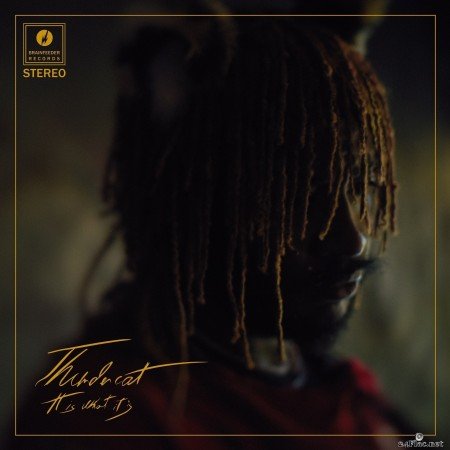 Thundercat - It Is What It Is (2020) FLAC + Hi-Res