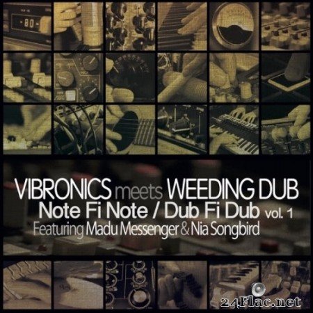 Vibronics meets Weeding DUb - Note Fi Note / Dub Fi Dub, Vol​. ​1 (2020) Hi-Res