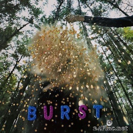 Snarls - Burst (2020) FLAC