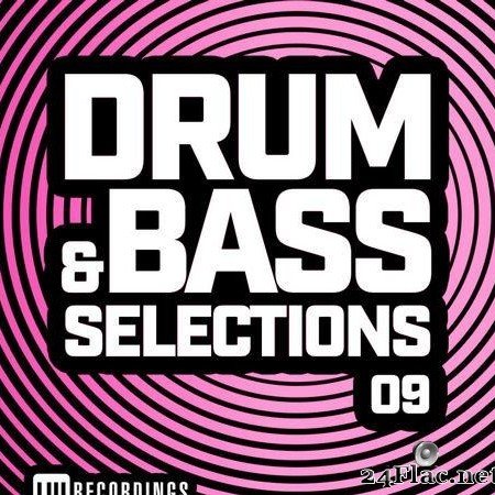 VA - Drum & Bass Selections Vol. 09 (2020) [FLAC (tracks)]