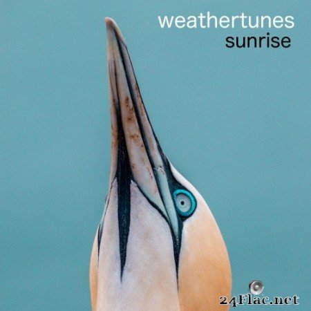 Weathertunes - Sunrise (2020) FLAC