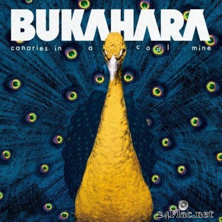 Bukahara - Canaries in a Coal Mine (2020) FLAC