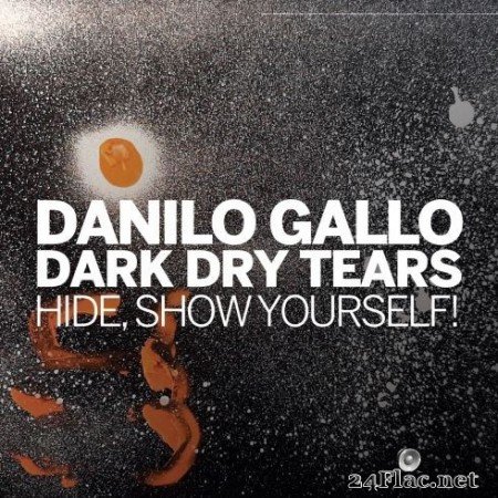 Danilo Gallo Dark Dry Tears - Hide, Show Yourself! (2020) FLAC