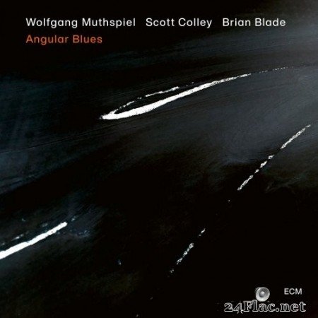 Wolfgang Muthspiel, Scott Colley, Brian - Angular Blues (2020) FLAC