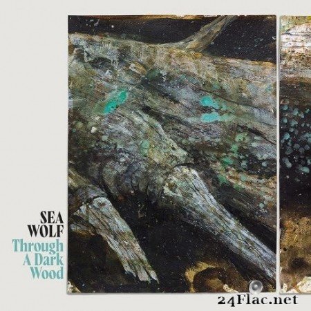 Sea Wolf - Through A Dark Wood (2020) FLAC
