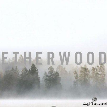 Etherwood - In Stillness (2018) [FLAC (tracks)]