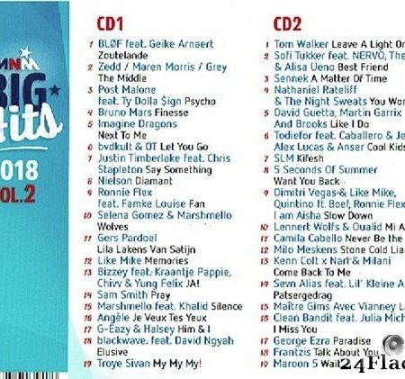 VA - MNM Big Hits 2018 Vol.2 (2018) [FLAC (tracks + .cue)]