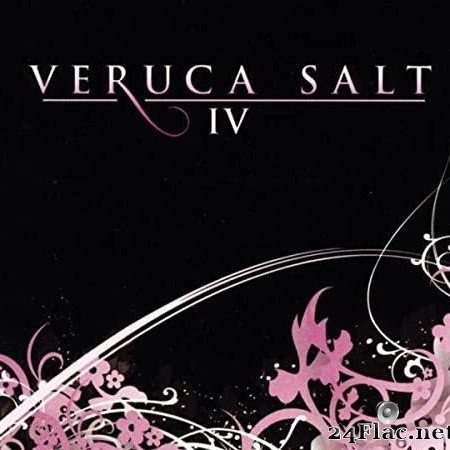 Veruca Salt - IV (2006) [FLAC (tranks + .cue)]
