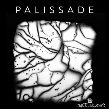 Palissade - Palissade (2020) Vinyl