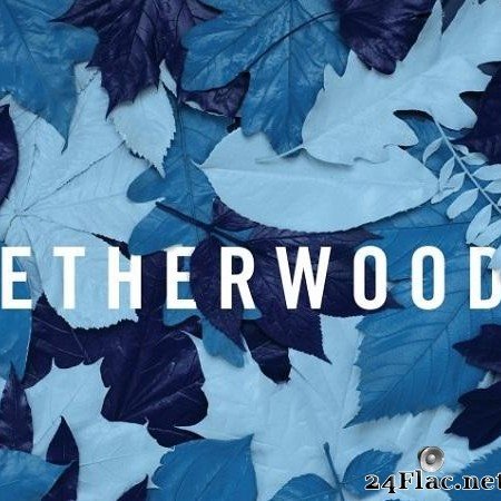 Etherwood - Blue Leaves (2015) [FLAC (tracks + .cue)]