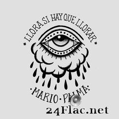 Mario Palma - Llora Si Hay Que Llorar (2020) FLAC