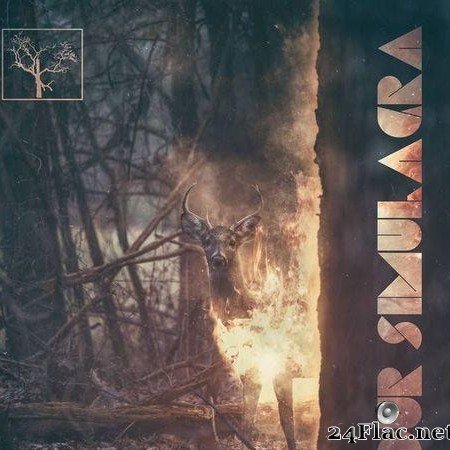 The Flashbulb - Our Simulacra (2020) [FLAC (tracks)]