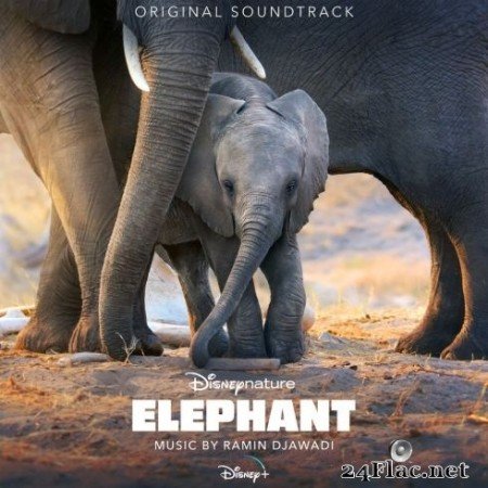 Ramin Djawadi – Elephant (Original Soundtrack) (2020) FLAC