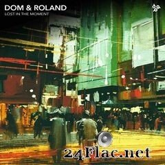 Dom & Roland - Lost in the Moment (2020) FLAC