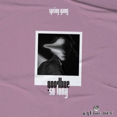 spring gang - Goodbye so Long (2020) Hi-Res