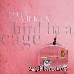Patty Larkin - Bird In A Cage (2020) FLAC