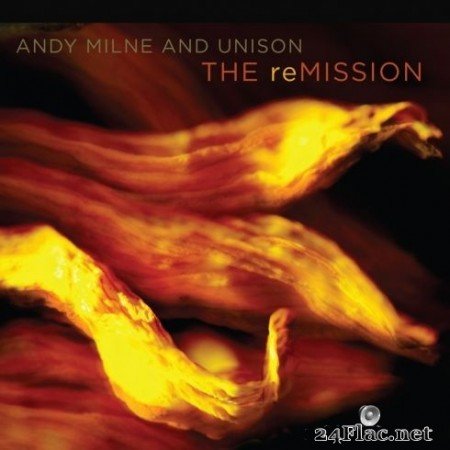 Andy Milne - The reMISSION (2020) FLAC