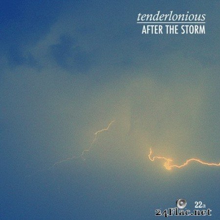 Tenderlonious - After the Storm (2020) Hi-Res