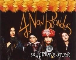 4 Non Blondes - Bigger, Better, Faster, More! (1992) [FLAC (tracks + .cue)]