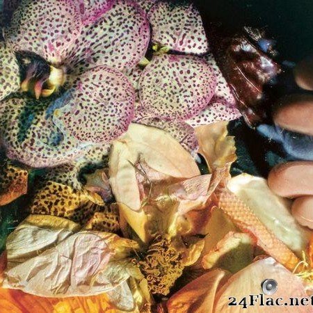 Soela - Genuine Silk (2020) [FLAC (tracks)]