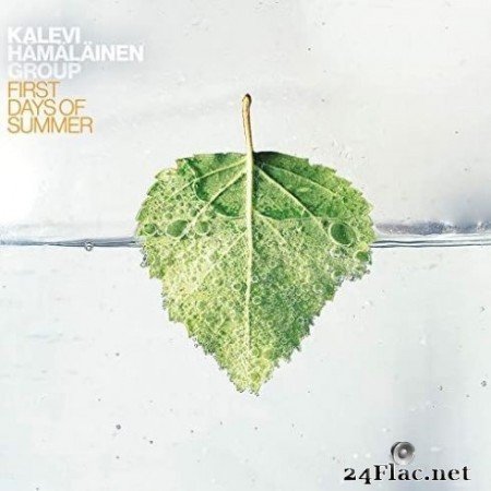 Kalevi Hämäläinen Group - First Days of Summer (2020) FLAC