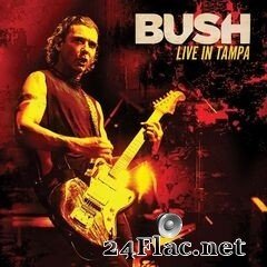 Bush - Live in Tampa (2020) FLAC