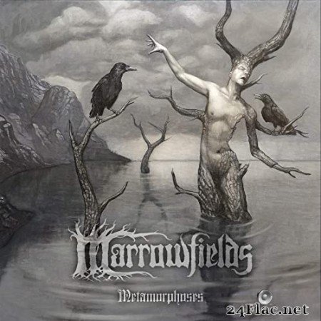 Marrowfields - Metamorphoses (2020) Hi-Res + FLAC