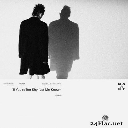 The 1975 - If You’re Too Shy (Let Me Know) Hi-Res