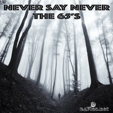 The 65’s - Never Say Never (2020) Hi-Res