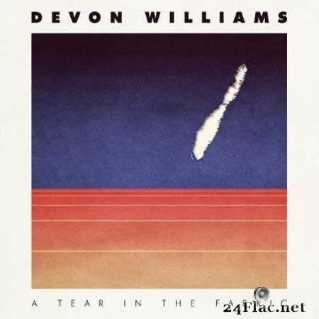 Devon Williams - A Tear in the Fabric (2020) FLAC