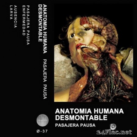 Anatomía Humana Desmontable - Pasajera Pausa (2020) Hi-Res