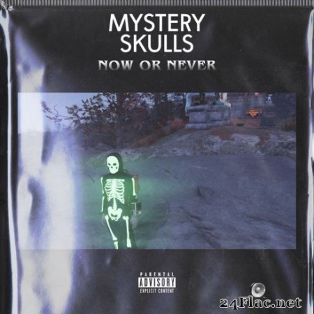 Mystery Skulls - Now Or Never (2020) FLAC