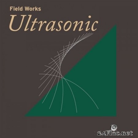 VA - Field Works: Ultrasonic (2020) Hi-Res