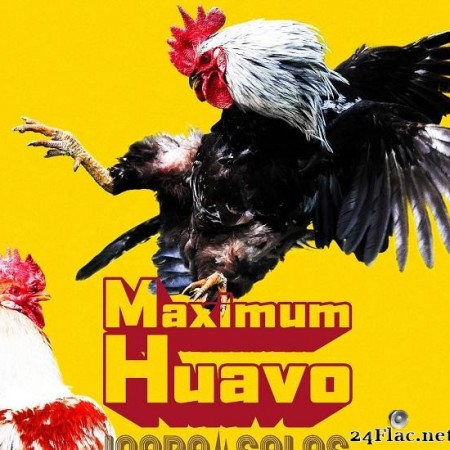 INABA / SALAS - Maximum Huavo (2020) [FLAC (tracks + .cue)]