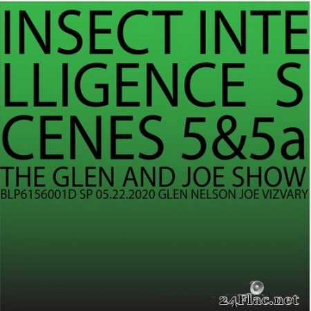 The Glen and Joe Show - Insect Intelligence (2020) Hi-Res