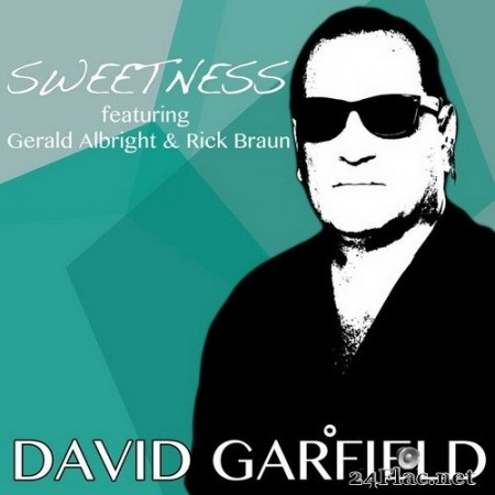 David Garfield - Sweetness (2020) Hi-Res