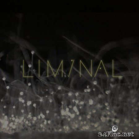 Liminal - Liminal 2 (2018) Hi-Res